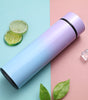 Stainless Steel Thermal Bottle LED Temperature Display