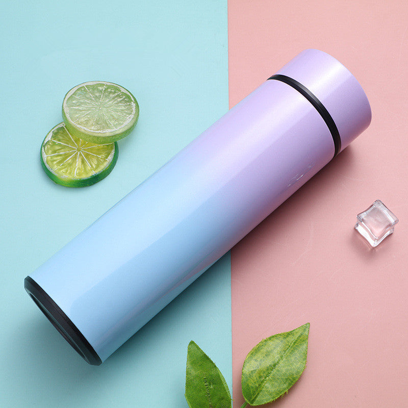 Stainless Steel Thermal Bottle LED Temperature Display
