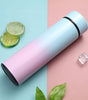Stainless Steel Thermal Bottle LED Temperature Display