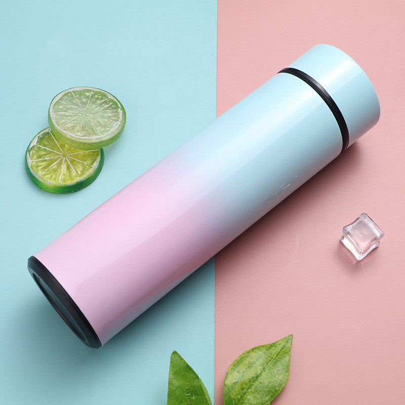 Stainless Steel Thermal Bottle LED Temperature Display