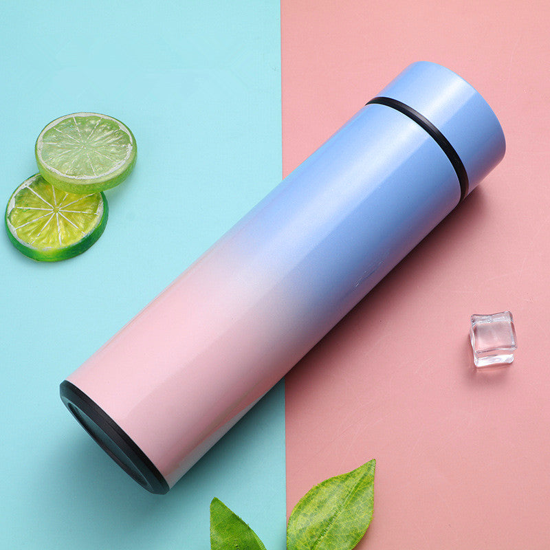 Stainless Steel Thermal Bottle LED Temperature Display