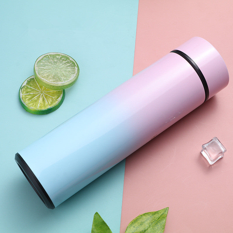 Stainless Steel Thermal Bottle LED Temperature Display