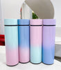 Stainless Steel Thermal Bottle LED Temperature Display