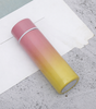 Stainless Steel Thermal Bottle LED Temperature Display